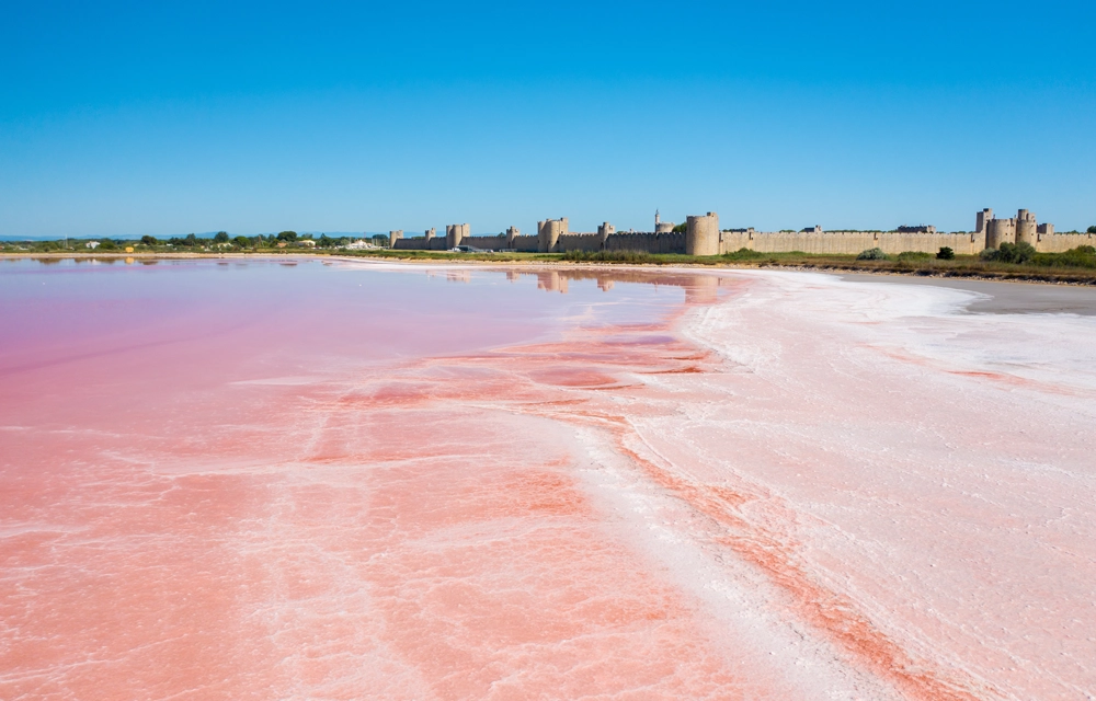 nortico-img-excursie-zoutmeer